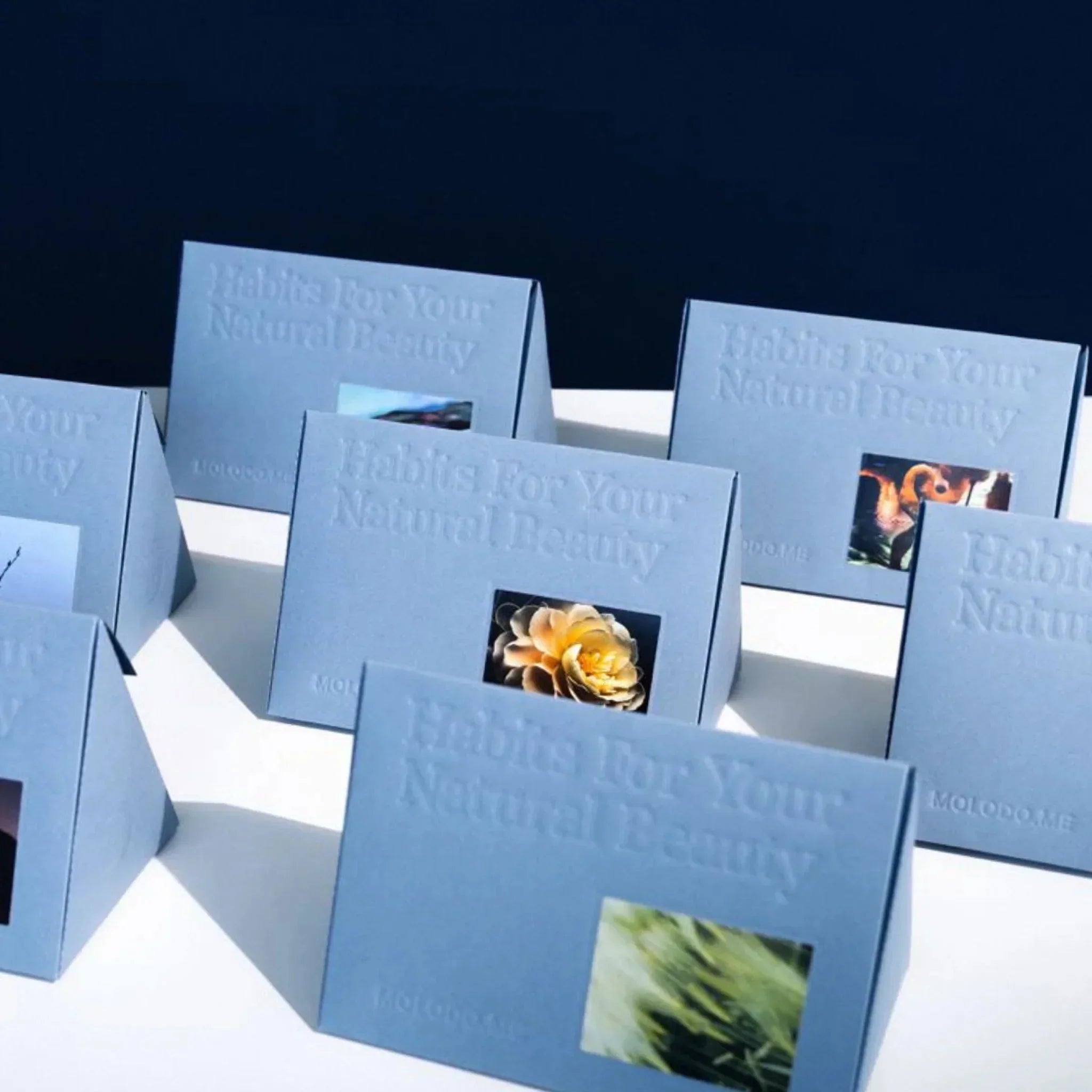 Bestsellers - MOLODO™