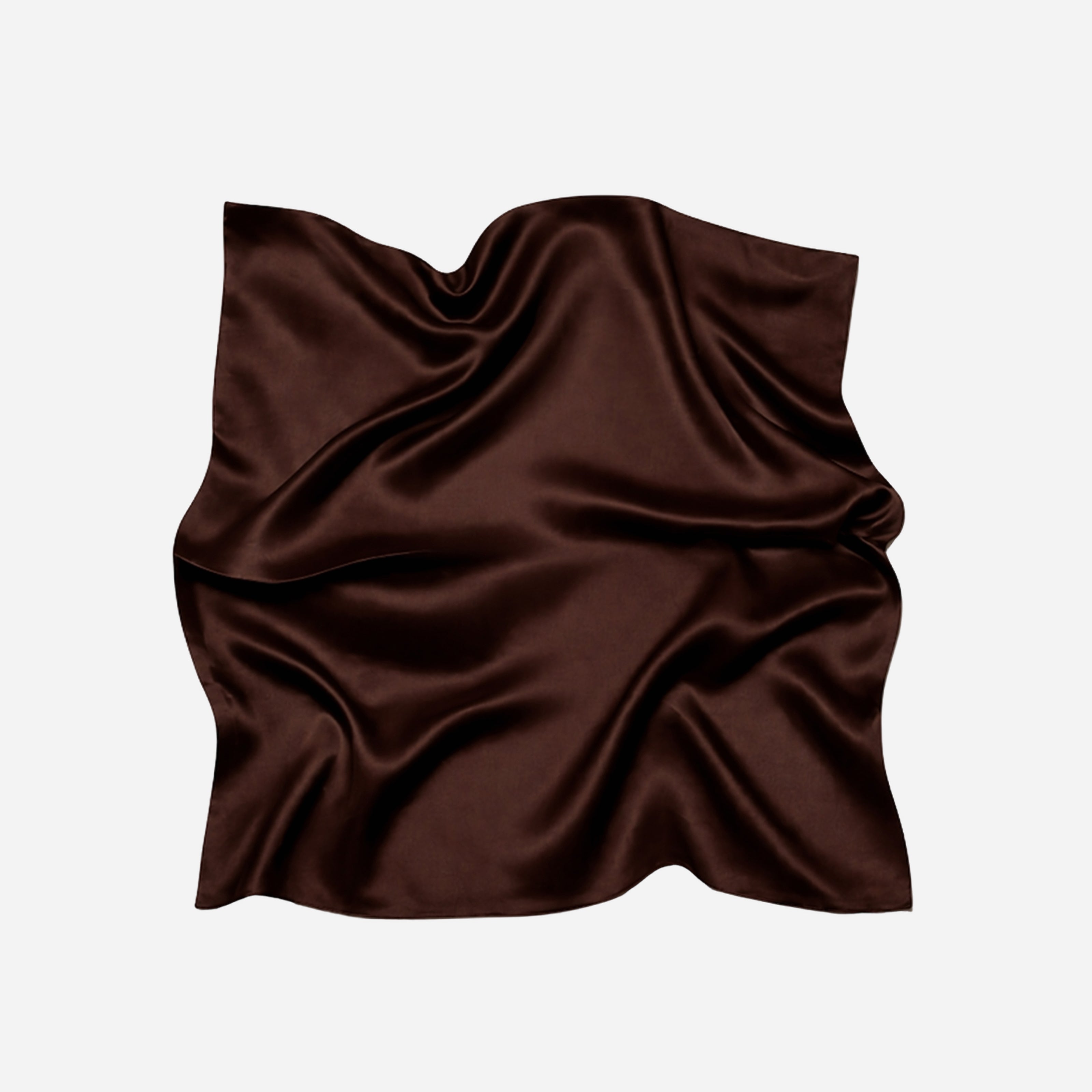 Pure Silk Scarf - Brown