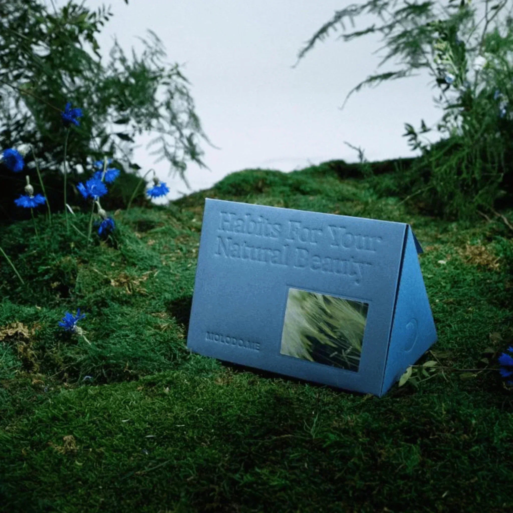 Silk for Hair Set - MOLODO™