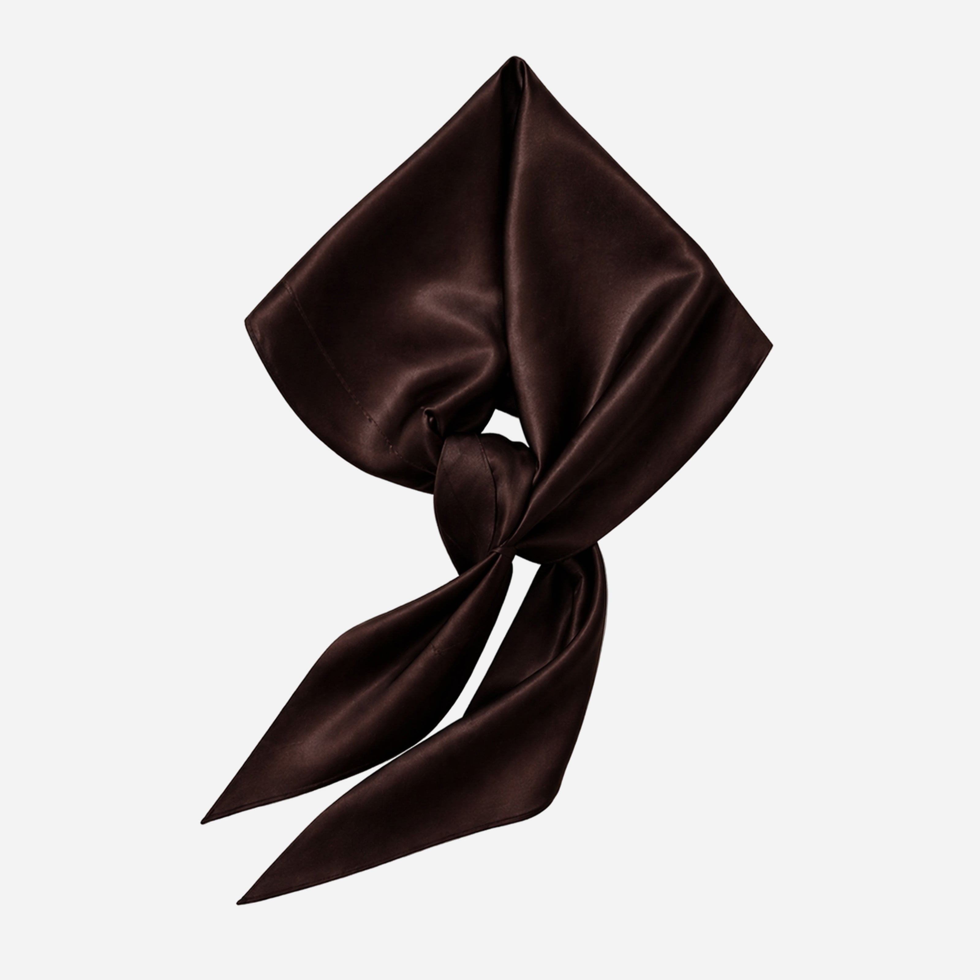 Pure Silk Scarf - Brown